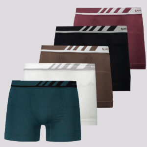 Kit de 5 Cuecas Boxer Lupo Microfibra I